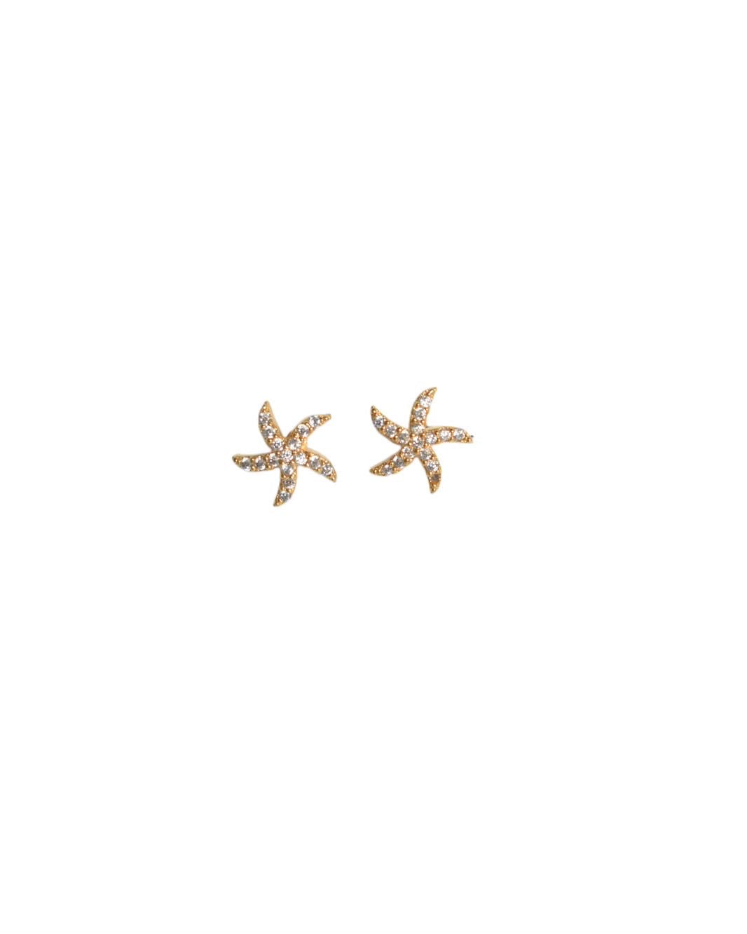 Starfish Earrings