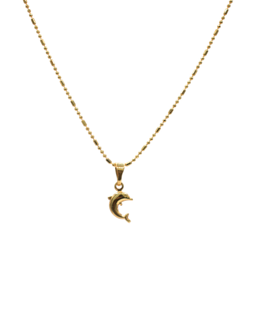 Dolphin Charm