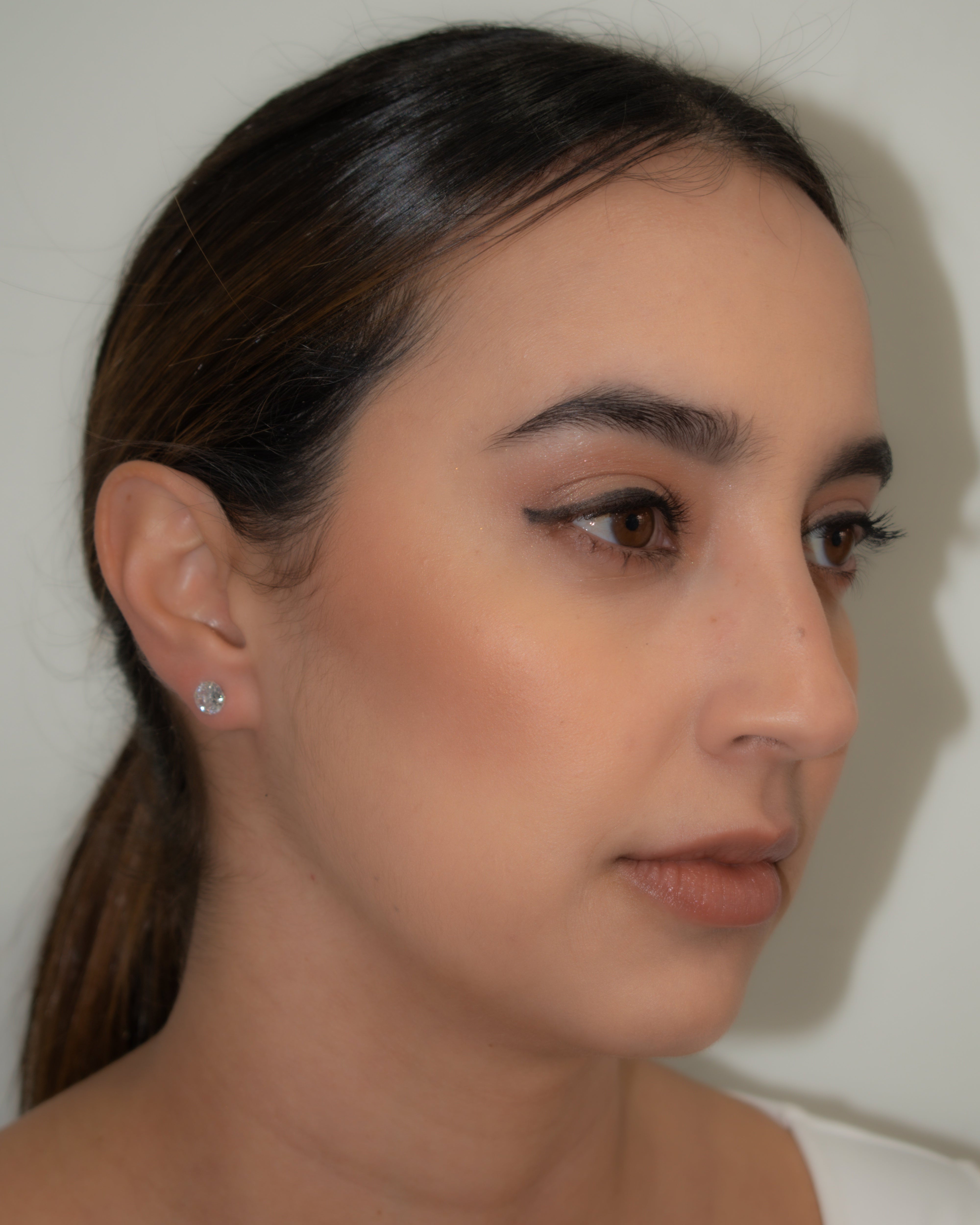 Big Round Zircon Earrings