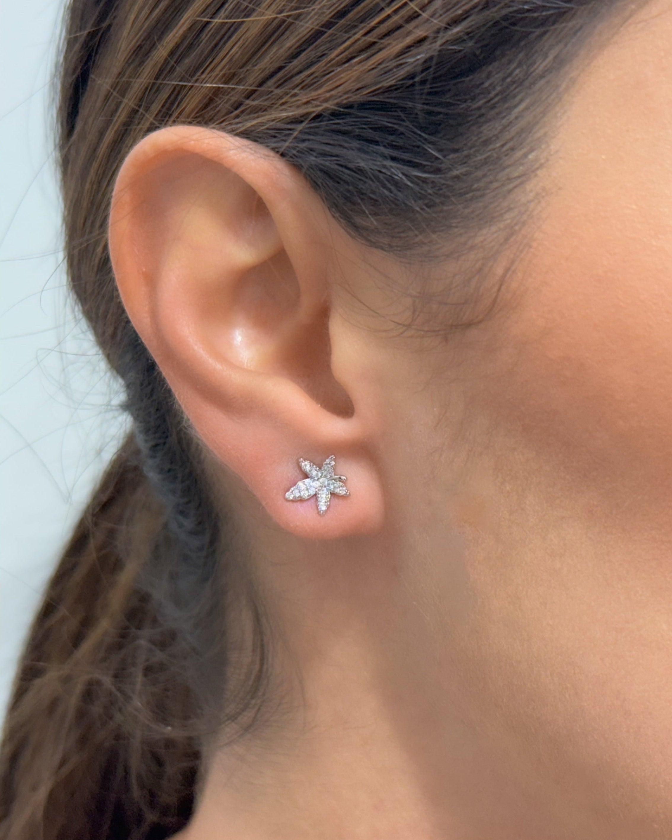 Star Earrings