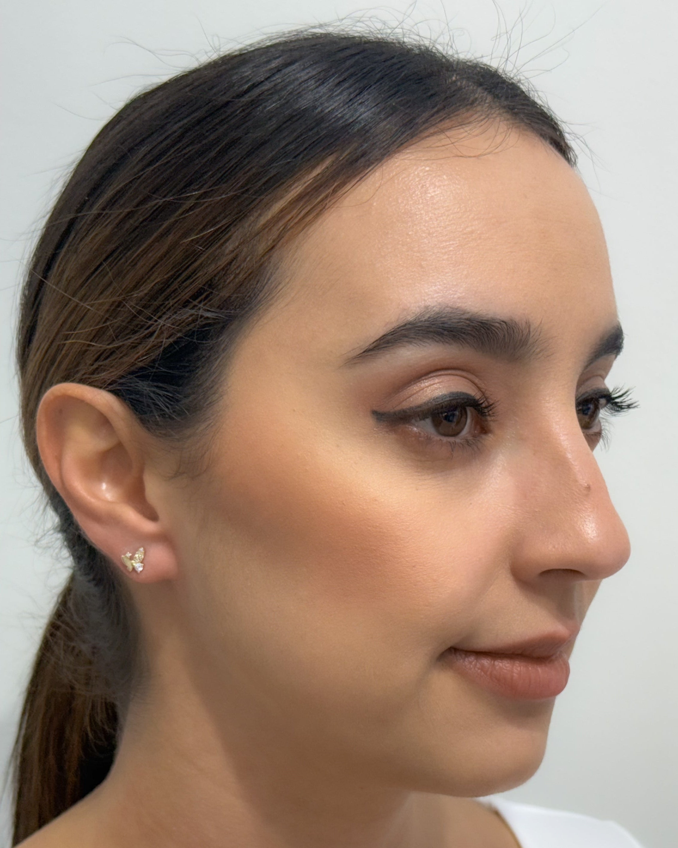 Small butterfly Earrings