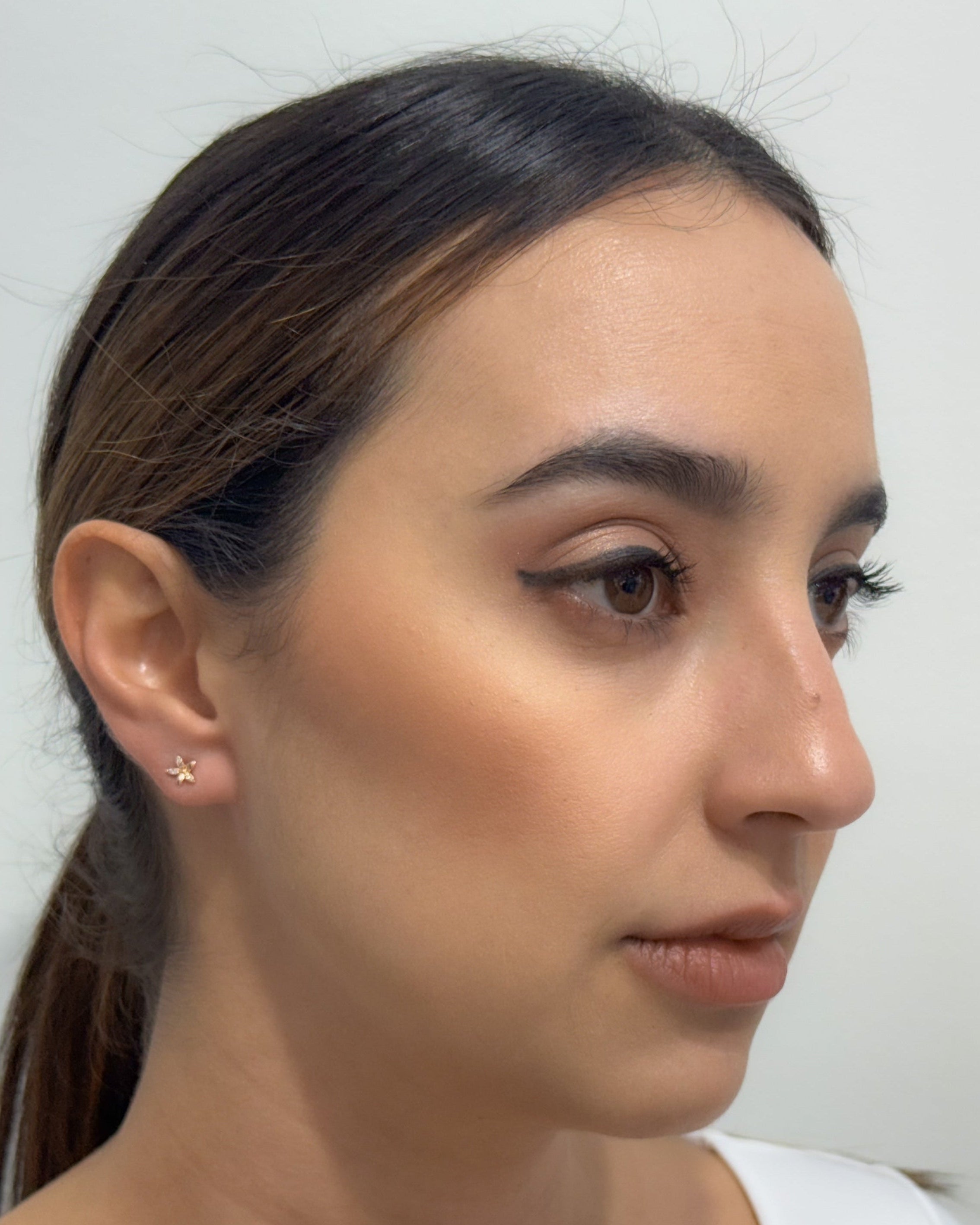 Star Zircon Earrings