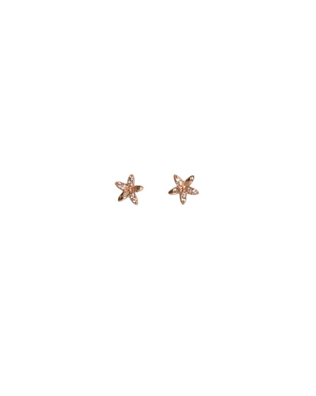 Star Zircon Earrings